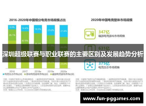 深圳超级联赛与职业联赛的主要区别及发展趋势分析