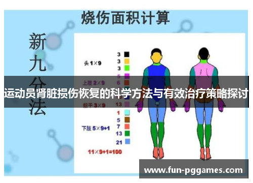 运动员肾脏损伤恢复的科学方法与有效治疗策略探讨