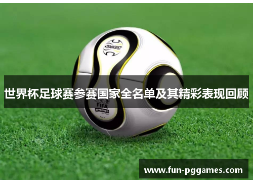 世界杯足球赛参赛国家全名单及其精彩表现回顾